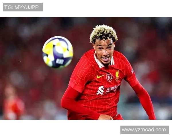 努涅斯的崛起与挑战：解析这位新星在足球世界中的影响力与未来潜力